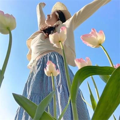 春情舞后 在线观看